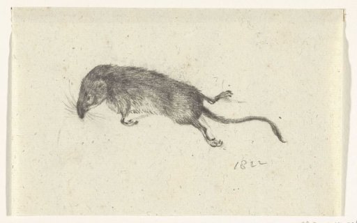 Dead Mouse