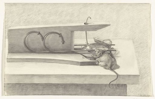 Mouse in a mouse trap
