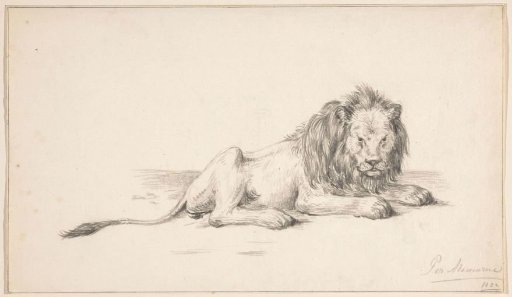 Lying lion