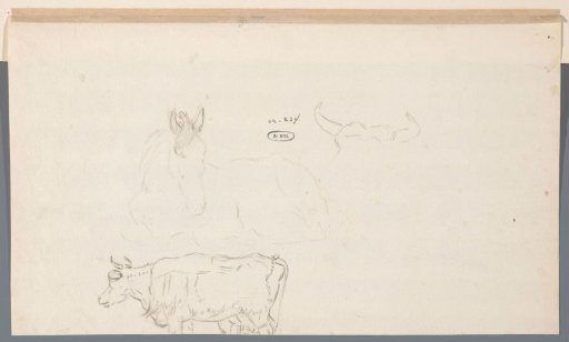 Study sheet with a lying horse and a standing cow