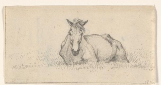 Horse Lying Down