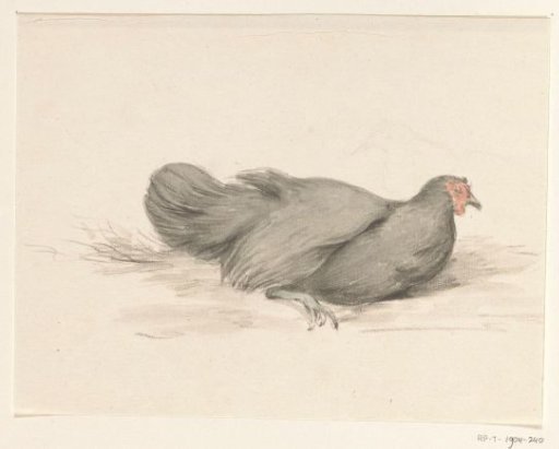 Black Hen, Sitting Facing Right