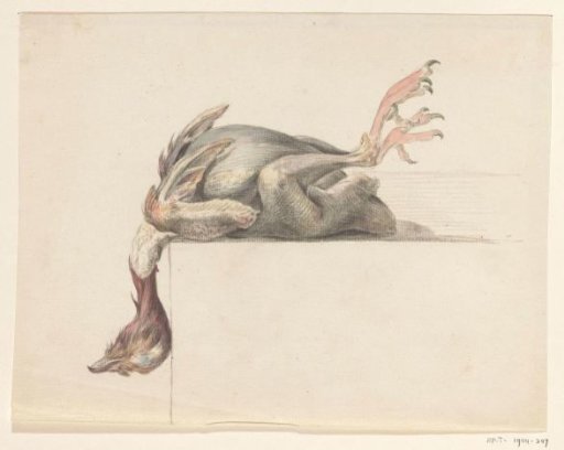Plucked bird, with the head hanging down