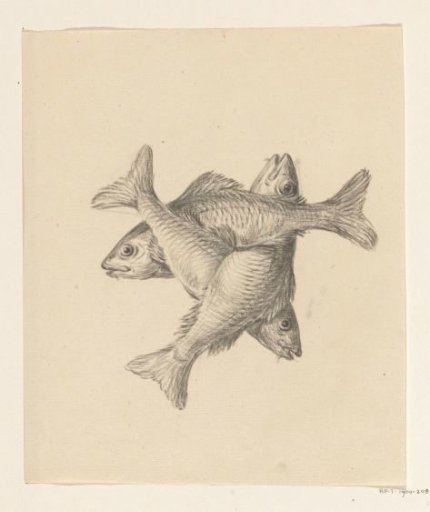 Three Fish Arranged Crosswise
