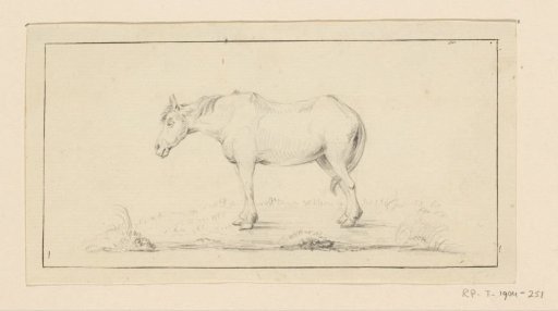 Standing horse, facing left