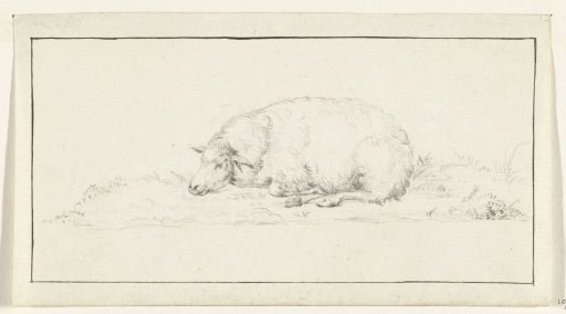 Lying sheep, facing left