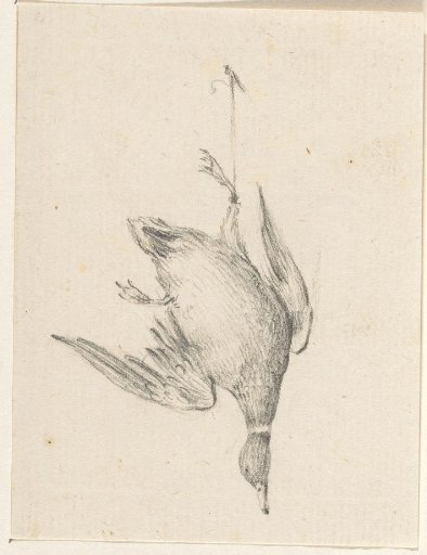 Duck, Hanging from a Rope