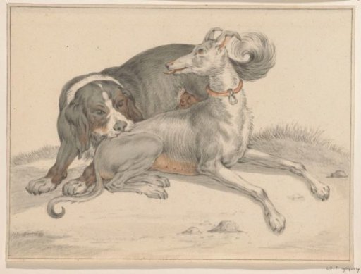A dog bites another sitting dog in the back