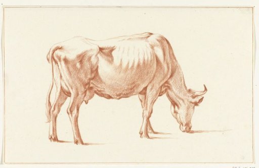 Grazing cow, to the right