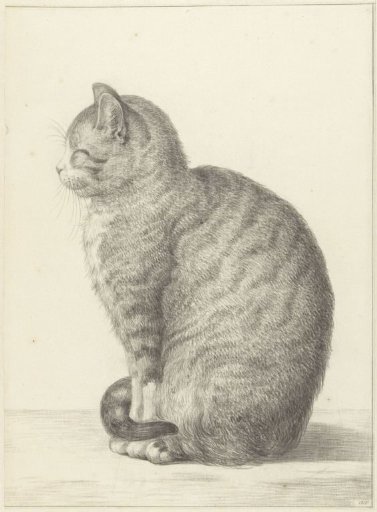 Seated cat, facing left