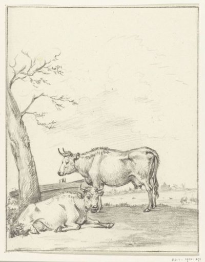 Standing and lying cows