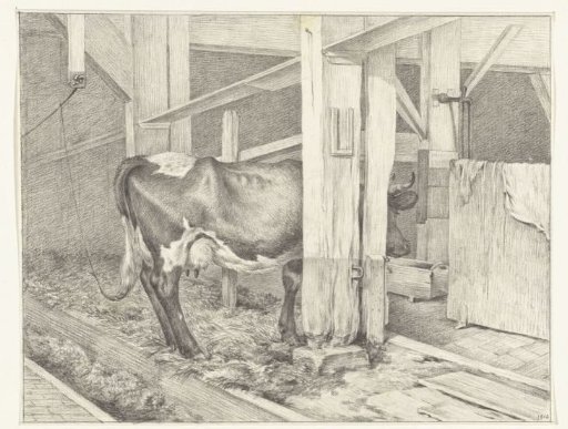 Standing Cow in a Stable, Facing Right