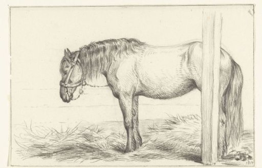 Standing Horse in a Stable, Facing Left