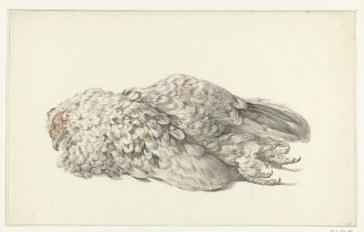 A Dead Hen