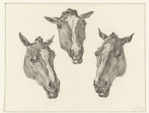 Three horse heads