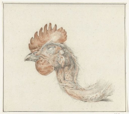 Head of a Dead Hen