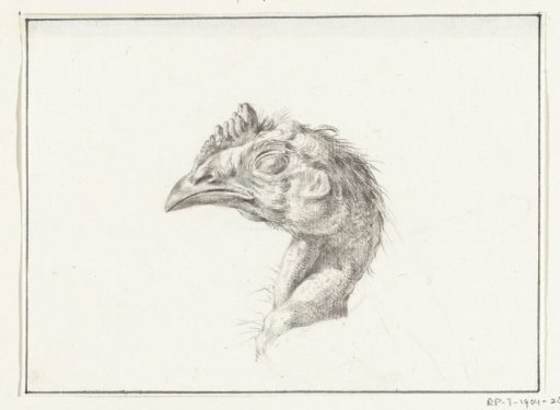 Head of a Dead Hen
