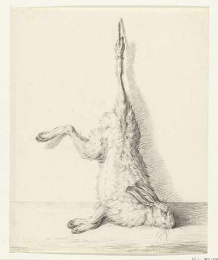 Dead Hare, hanging by a hind leg