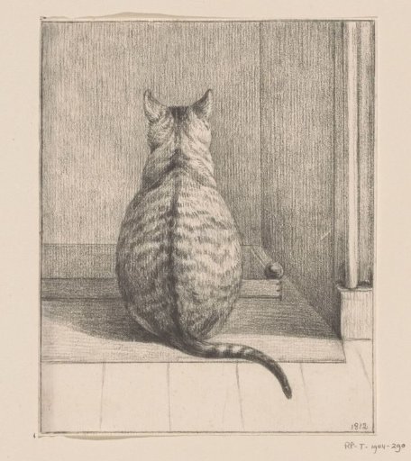 Sitting cat, from the rear