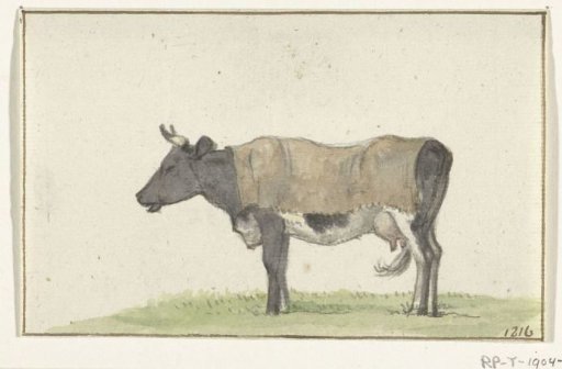 Standing cow with blanket, to the left
