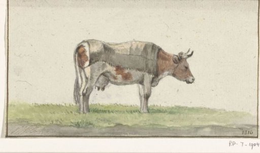 Standing cow, facing right