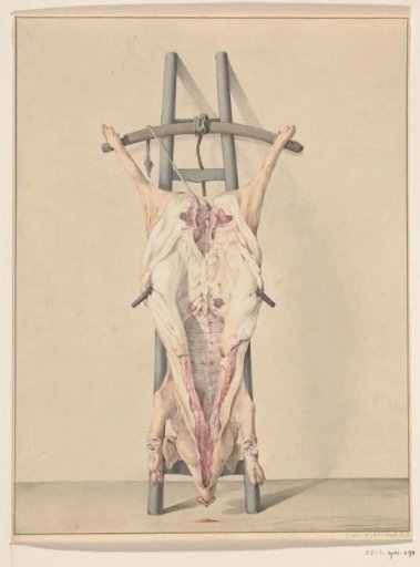 Slaughtered pig