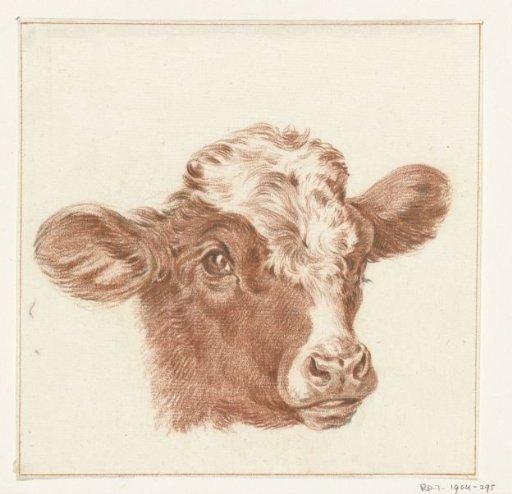 Head of a cow