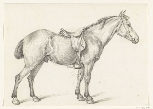 Standing horse, to the right