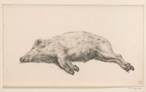 Reclining pig, facing left