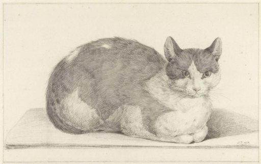 Seated cat, facing right