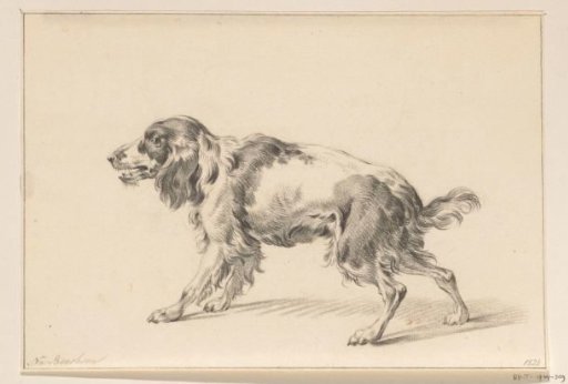 Standing barking dog, facing left