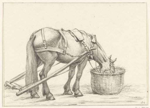 Horse Eating from a Basket, Facing Right