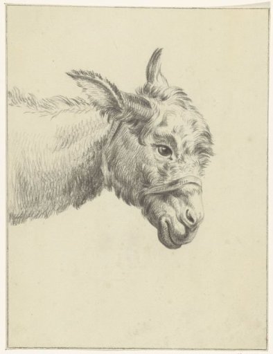 Head of a donkey, facing right