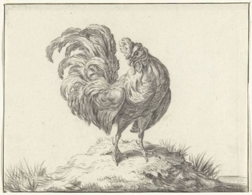 Hen, Standing on a Mound