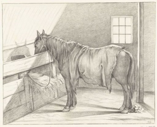Standing Horse in a Stable, Facing Left