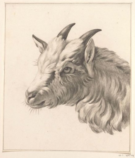 Head of a Goat, facing left