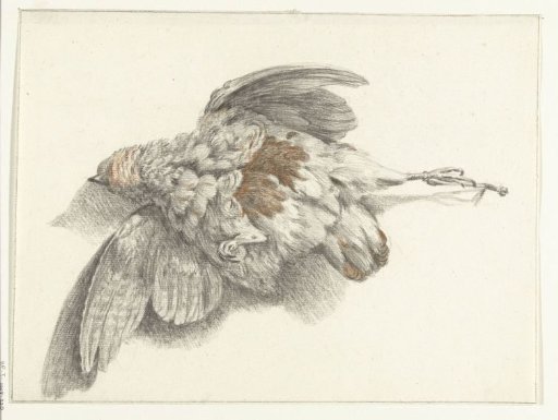 Poultry Hanging on the Wall