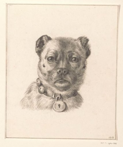 Dog's head with a collar with a lock, from the front