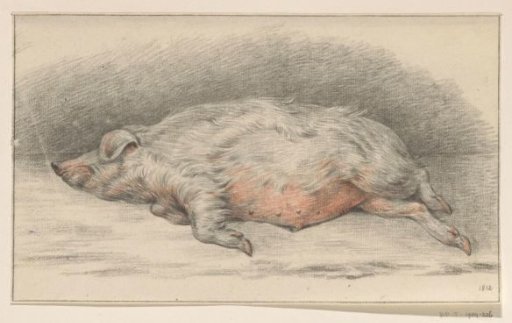 Reclining pig, facing left