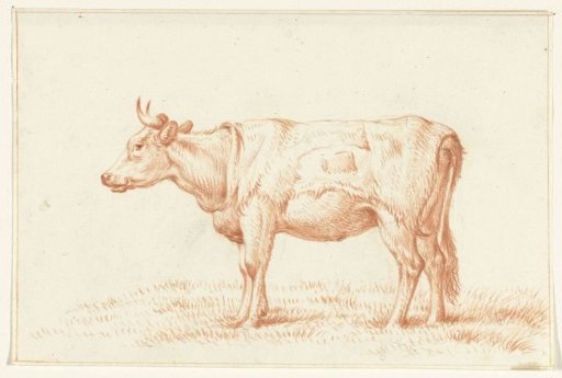 Standing cow, to the left
