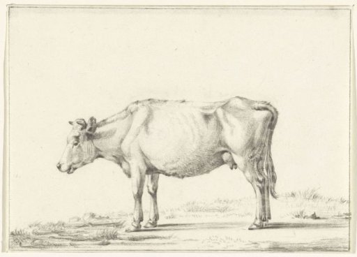 Standing cow, to the left