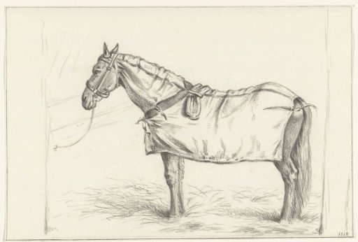 Horse Standing in a Stable with Blanket on Back, Facing Left