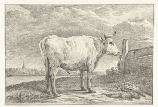 Standing bull, to the right