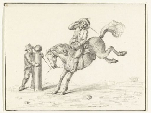 The Taming of a Horse