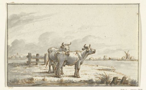 Two cows in the meadow