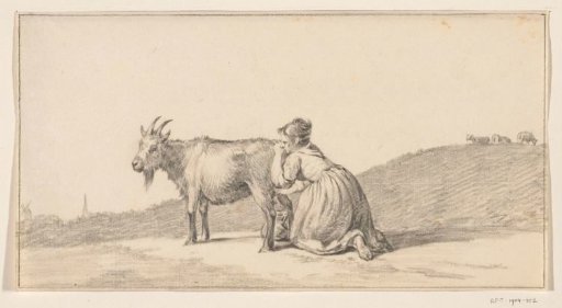 Woman milking a goat