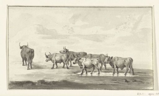Group of six bulls