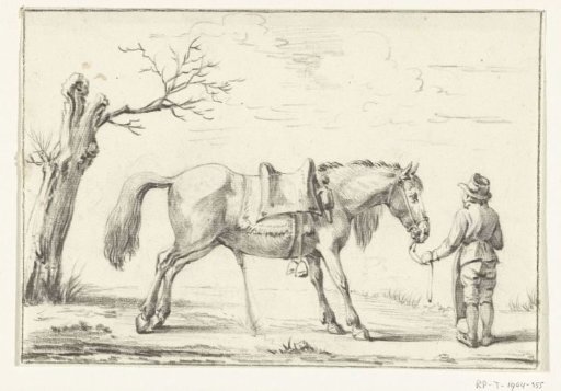 Rider Standing Next to Urinating Horse