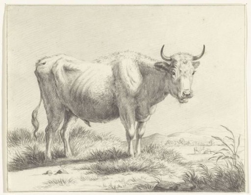 Standing Cow, Facing Right