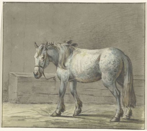 Standing horse in a stable, facing left